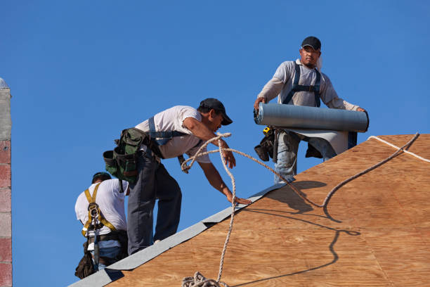 Best Residential Roofing Contractor  in Livingston, AL