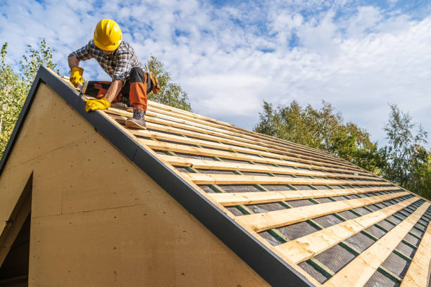 Best Metal Roofing Contractor  in Livingston, AL