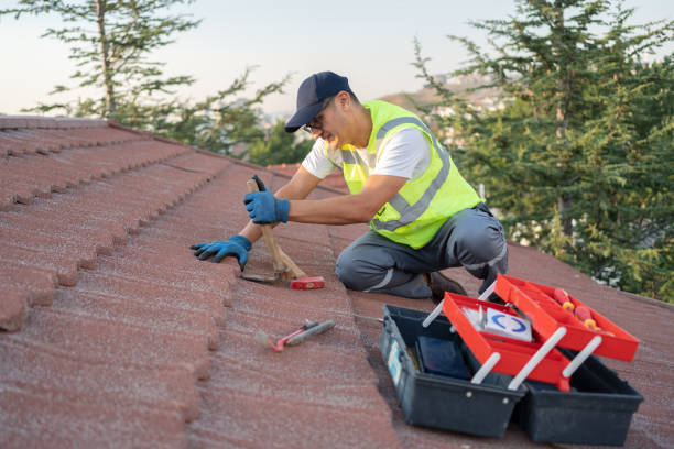 Best New Roof Installation  in Livingston, AL