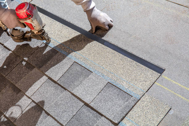 Best Storm Damage Roof Repair  in Livingston, AL